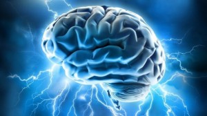 Brain Health and Memory